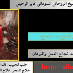 رقم ساحر الدفع بعد النجاح