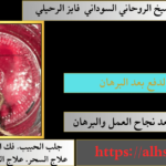 ساحر الدفع بعد البرهان